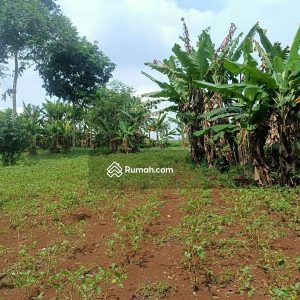 Dijual Tanah di Jl. Jamali Mande