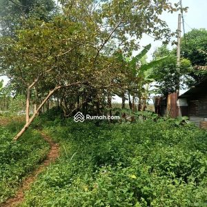 Dijual Tanah di Jl. Jamali Mande