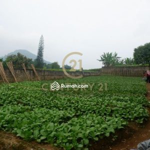 Dijual Tanah Siap Bangun dekat Jalan Utama Cipanas