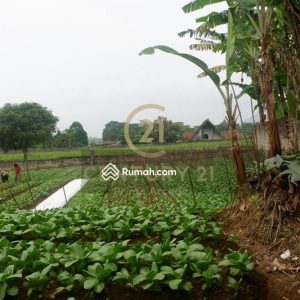 Dijual Tanah Siap Bangun dekat Jalan Utama Cipanas