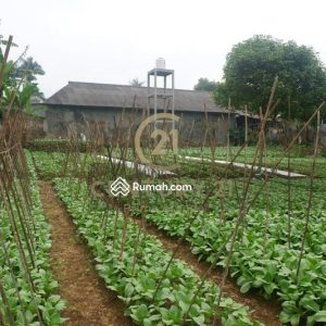 Dijual Tanah Siap Bangun dekat Jalan Utama Cipanas