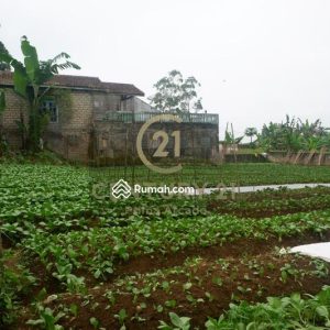 Dijual Tanah Siap Bangun dekat Jalan Utama Cipanas