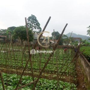 Dijual Tanah Siap Bangun dekat Jalan Utama Cipanas