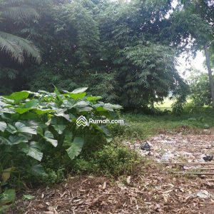 Dijual Tanah Lahan Padat di Ciranjang