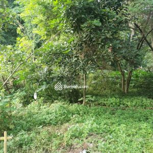 Dijual Tanah Lahan Padat di Ciranjang