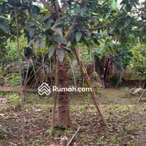 Dijual Tanah Bonus Bangunan Rumah di Pacet