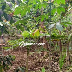 Dijual Tanah Bonus Bangunan Rumah di Pacet