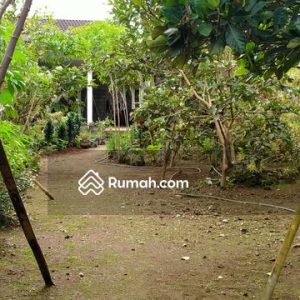 Dijual Tanah Bonus Bangunan Rumah di Pacet