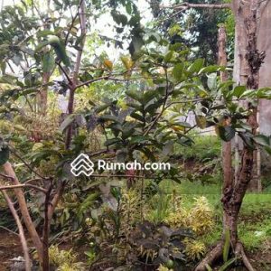 Dijual Tanah Bonus Bangunan Rumah di Pacet