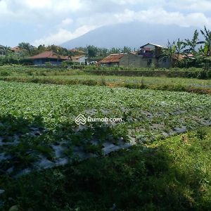 Dijual Tanah Kebun di Pacet