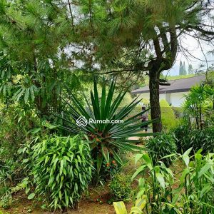 Dijual Villa Coolibah Cipanas