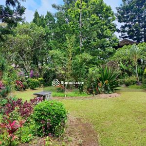 Dijual Villa Coolibah Cipanas