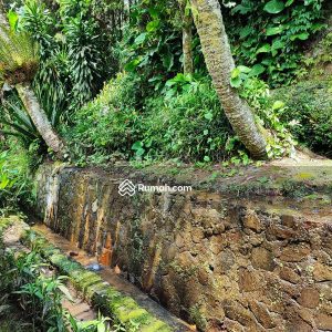 Dijual Villa Coolibah Cipanas