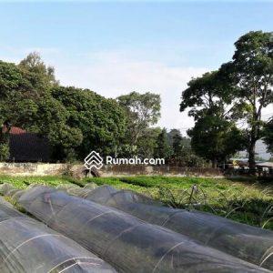 Dijual Villa di Cipanas Puncak, Cianjur