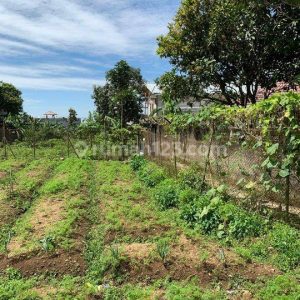 Dijual Villa dengan Usaha Jamur di Puncak Cipanas
