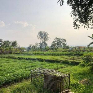 Dijual Tanah Bonus Bangunan di Nagrak Cianjur Kota