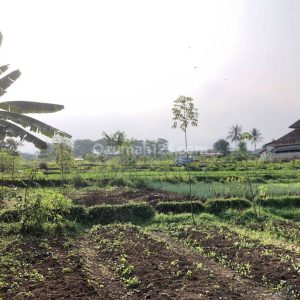 Dijual Tanah Bonus Bangunan di Nagrak Cianjur Kota