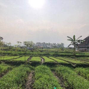 Dijual Tanah Bonus Bangunan di Nagrak Cianjur Kota