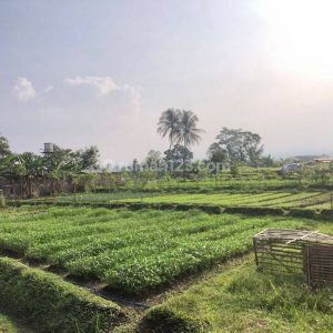 Dijual Tanah Bonus Bangunan di Nagrak Cianjur Kota