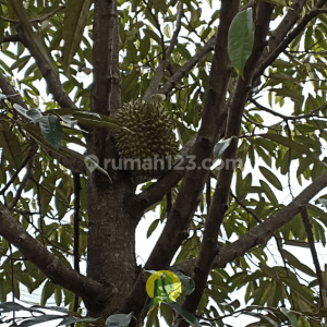 Dijual Rumah dan Tempat Usaha di Cianjur Kota