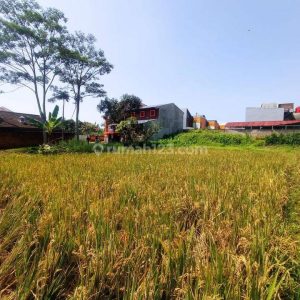 Dijual Tanah di Cianjur Kota