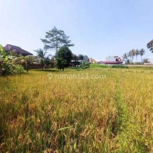 Dijual Tanah di Cianjur Kota