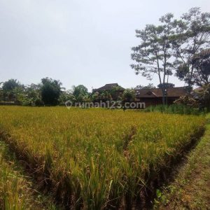Dijual Tanah di Cianjur Kota