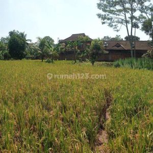 Dijual Tanah di Cianjur Kota