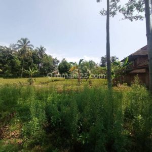 Dijual Tanah di Cianjur Kota