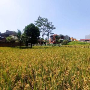 Dijual Tanah di Cianjur Kota