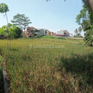 Dijual Tanah di Cianjur Kota