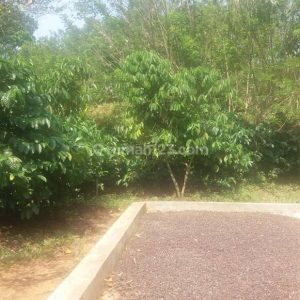 Dijual Tanah di Jonggol Cianjur