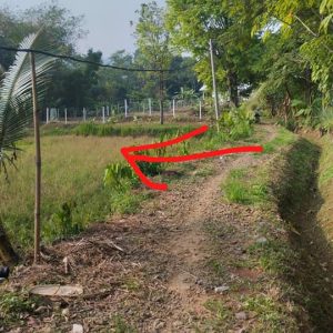Dijual Cepat Tanah Kebun di Cibeber