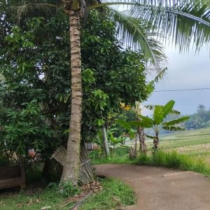 Dijual Cepat Rumah di Cibeber