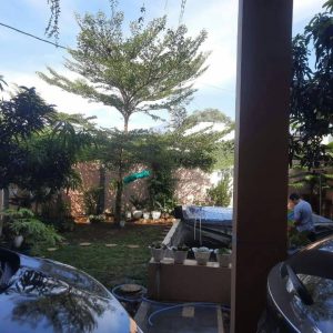 Dijual Rumah bagus di Cugenang