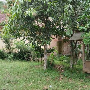Dijual Cepat Rumah di Cibeber