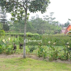 Dijual Tanah di Cipanas Cianjur