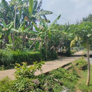 Dijual Cepat Tanah Darat di Cibeber