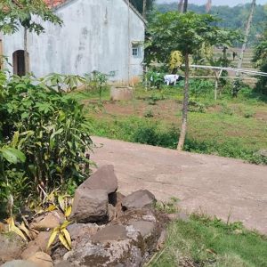 Dijual Cepat Tanah Darat di Cibeber