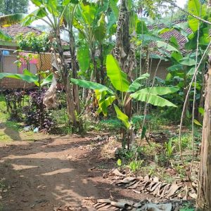 Dijual Cepat Tanah Darat di Cibeber