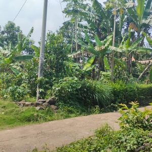 Dijual Cepat Tanah Darat di Cibeber