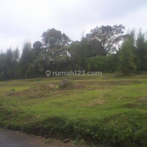 Dijual Tanah Kavling Jl Padarancang Cipanas