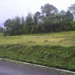 Dijual Tanah Kavling Jl Padarancang Cipanas