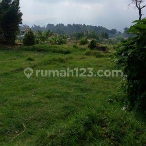 Dijual Tanah Kavling dekat Istana Cipanas