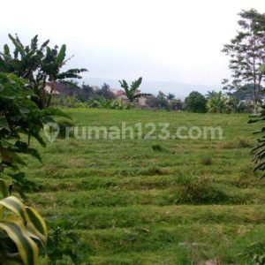 Dijual Tanah Kavling dekat Istana Cipanas