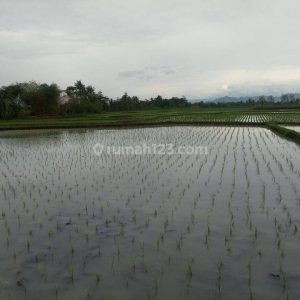 Dijual Tanah Sawah di Karangtengah