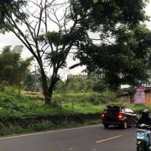 [C1857] Dijual Tanah Strategis di Jalan Raya Puncak Cipanas