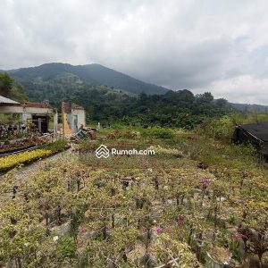 Dijual Tanah di Jl Hanjawar Cipanas