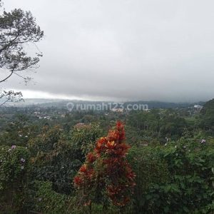 Dijual Villa Ciloto Cipanas