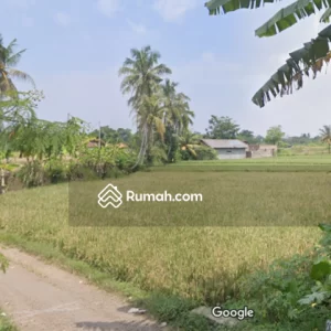 Dijual Tanah Sawah di Bobojong Mande